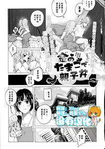 Kin no Tamago de Oyakodon 丨用金蛋料理出的親子丼 — hentai manga cover on Fhentai