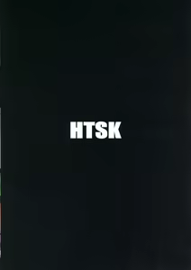 Page 2 of HTSK9.5 - preview thumbnail