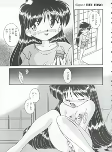 Page 17 of HABER EXTRA IV Shouji Umemachi Only Book 3 - SOLO - preview thumbnail