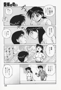 Page 48 of H na Onegai - preview thumbnail