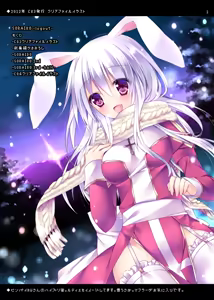 Page 2 of SORAIRO -logout- - preview thumbnail