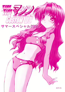 TIMTIM MACHINE CUSTOM 02 Sumer Special 2002 — hentai manga cover on Fhentai