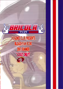 Page 2 of BRICOLA - preview thumbnail