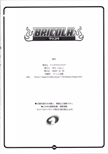 Page 24 of BRICOLA - preview thumbnail