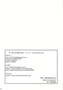 Page 27 of P co-creation - preview thumbnail