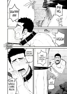 Page 23 of capture:2 - preview thumbnail
