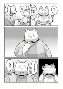 Page 48 of FUROSHIKIZUTSUMI 4 - preview thumbnail