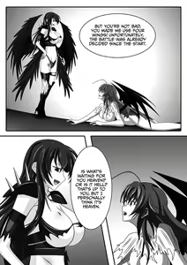 Page 20 of Raynare - preview thumbnail