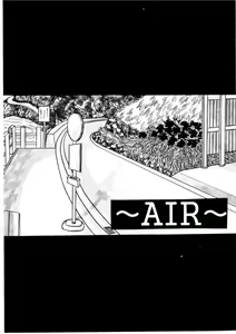 Page 3 of AIR - preview thumbnail