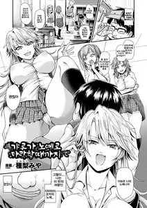 Gal ga Dorei ni Ochiru made | 갸루가 노예로 타락할때까지 — hentai manga cover on Fhentai