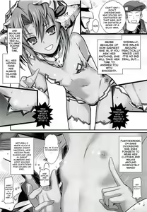 Page 11 of ROMMM+ - preview thumbnail
