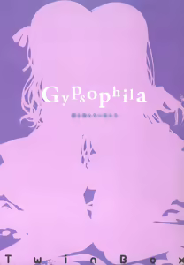 Page 3 of Gypsophila - preview thumbnail