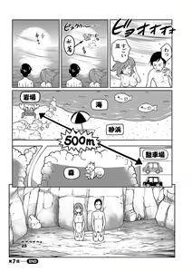 Page 137 of Feti-Rarecco - preview thumbnail