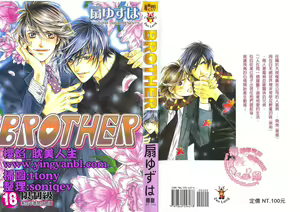 BROTHER 2 | 愛戀大無限 2 — hentai manga cover on Fhentai