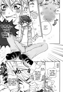 Page 14 of Devil x Devil - preview thumbnail