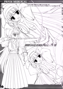 Page 127 of PRISM MERGICAL - MERGICAL Material Art-Book - preview thumbnail
