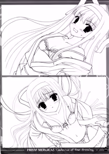 Page 7 of PRISM MERGICAL - MERGICAL Material Art-Book - preview thumbnail