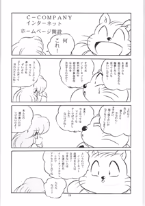 Page 29 of C-COMPANY SPECIAL STAGE 18 - preview thumbnail