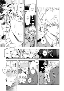 Page 13 of Aiyoku Keppeki Syndrome - preview thumbnail