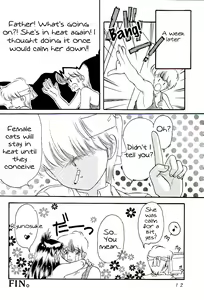 Page 12 of Yasashii Hito no Soba ga Suki Bannou Bunga Neko Musume - preview thumbnail
