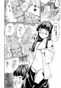 Page 11 of LUNATIC PRINCESS - preview thumbnail