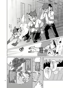 Page 15 of Henshin Shidou Report - preview thumbnail