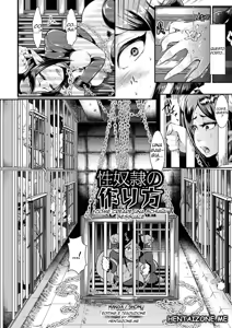Seidorei no Tsukurikata | Come creare una schiava sessuale — hentai manga cover on Fhentai