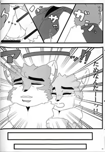 Page 51 of KTQ9 - preview thumbnail