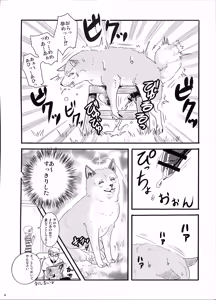 Page 8 of KTQ9 - preview thumbnail