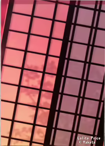 Page 65 of Lolita Price - preview thumbnail