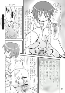 Page 33 of Sekai Ukiuki Zukan 2006 - The Pictorial Guide of the 'Uki-Uki' in the World 2006 - preview thumbnail