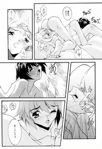 Page 16 of V-Zweit - preview thumbnail