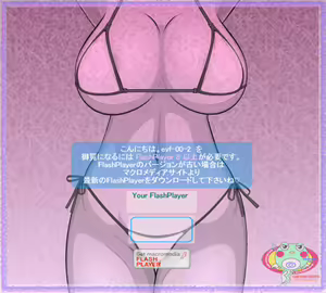 Page 30 of ev-F00-2 - preview thumbnail