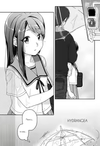 Page 2 of Hydrangea - preview thumbnail