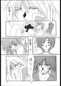 Page 16 of Seirei Yakyoku Chuukan - Rosenfeld V - preview thumbnail