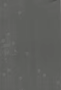 Page 48 of Waffle Doumeiken SAO Soushuuhen red - preview thumbnail