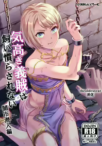 Kedakaki Gizoku wa Kainarasarenai Yamiichi Sennyuu Hen — hentai manga cover on Fhentai