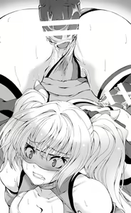Page 376 of Hengen Souki Shine Mirage THE COMIC & NOVEL - preview thumbnail