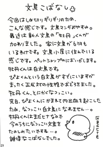 Page 23 of Shota ga Tame ni Bel wa Naru - preview thumbnail