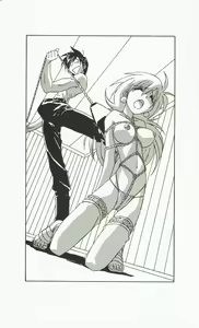 Page 246 of Rance 2 - Shakunetsu no Duma-jou - preview thumbnail