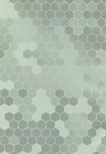 Page 3 of LeVeLoPer - preview thumbnail