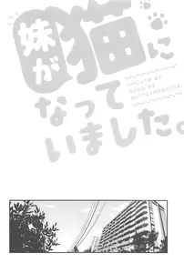 Page 4 of Imouto ga Neko ni Natteimashita. | 여동생이 고양이가 되었습니다. - preview thumbnail