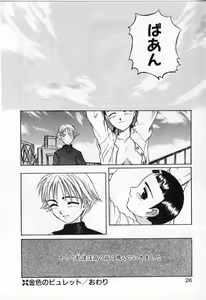 Page 26 of Vanishing P - preview thumbnail