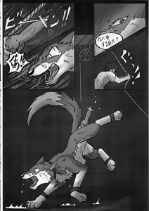 Page 13 of KTQ 13 - preview thumbnail