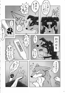 Page 8 of KTQ 12 - preview thumbnail