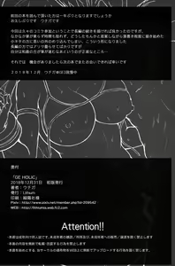 Page 29 of GE HOLIC - preview thumbnail
