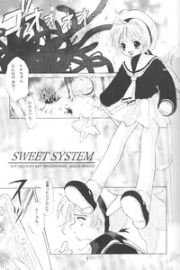 Page 4 of Sewwt System - preview thumbnail