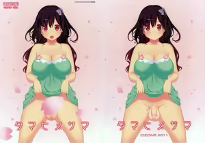 Tamahime-sama - hentai manga cover image