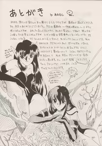 Page 255 of PHANTASY STAR ALL!! Special 3 - preview thumbnail