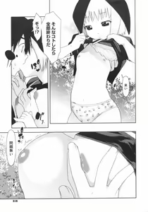 Page 317 of COMIC Megastore 2009-07 - preview thumbnail